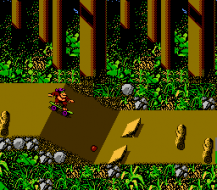 Town & Country Surf Designs II: Thrilla's Surfari gameplay screenshot